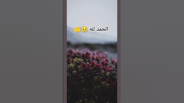 القرآن الكريم/ تلاوة خاشعة #القرآن_الكريم #quran #quran #راحة_نفسية