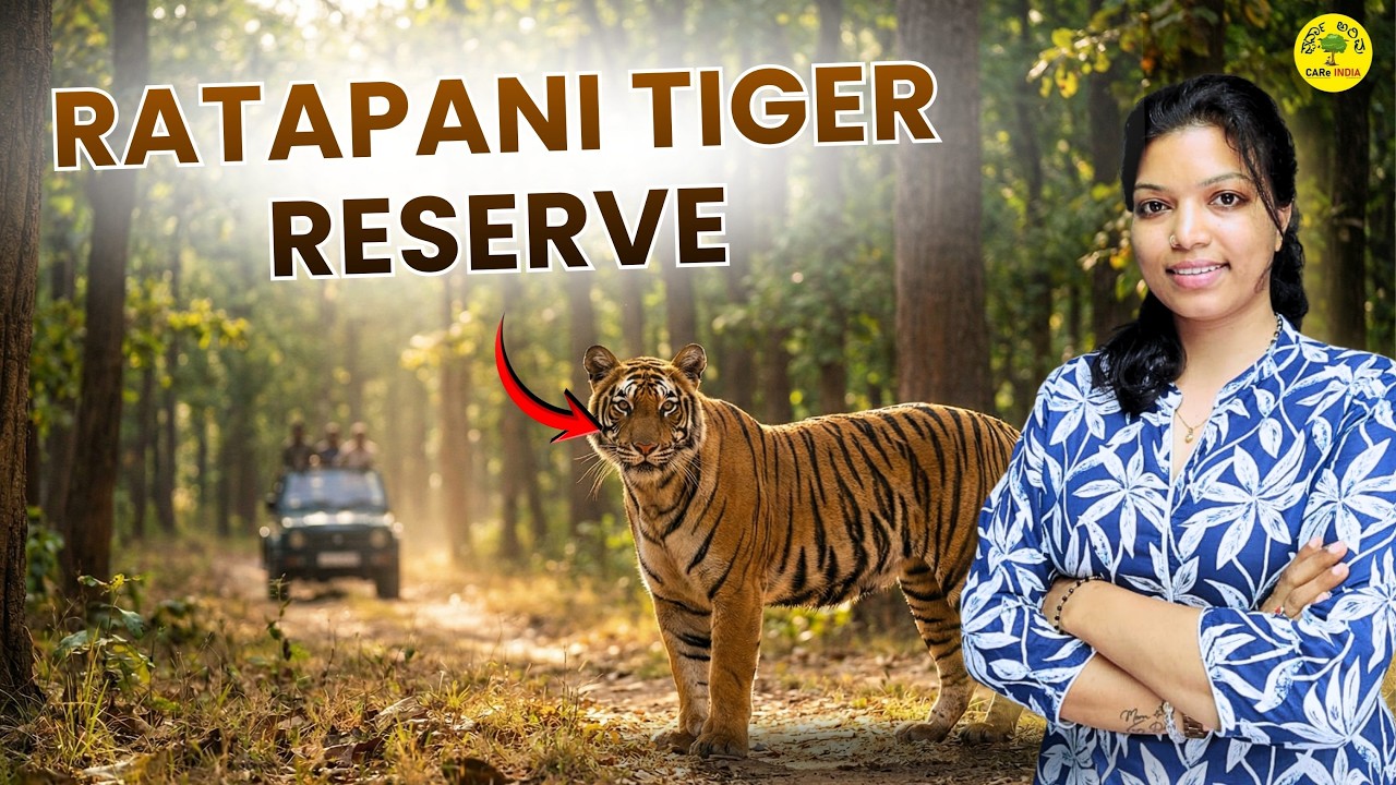 🐅 Ratapani Tiger Reserve – MP’s Hidden Tiger Kingdom! 🔥🌿