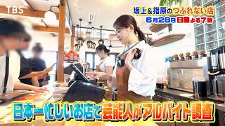坂上＆指原のつぶれない店　日本一忙しい店バイトＳＰ！佐藤大樹！平岡祐太！あの人も