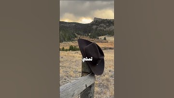 تلاوة هادئة #قران_كريم