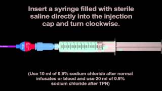 SOLO Flushing Video from marianne