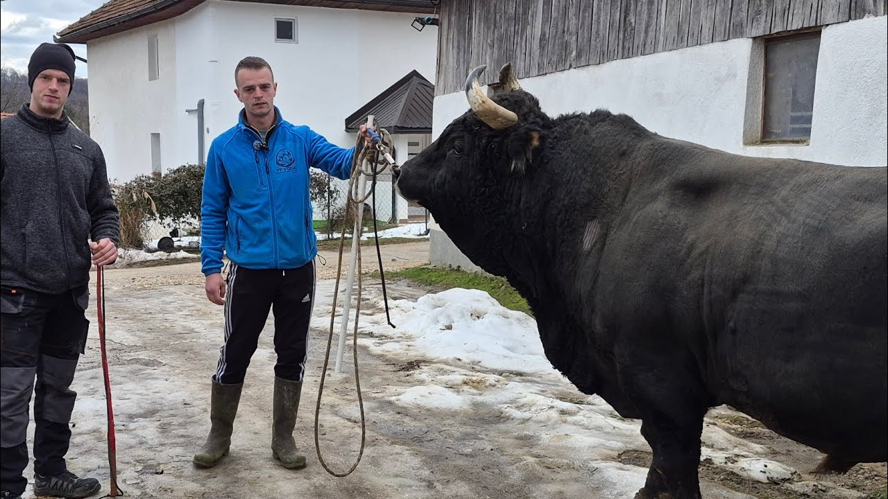 Šampion razbadanja Garinča , ponos Mirze Bukve i Adnana Trake