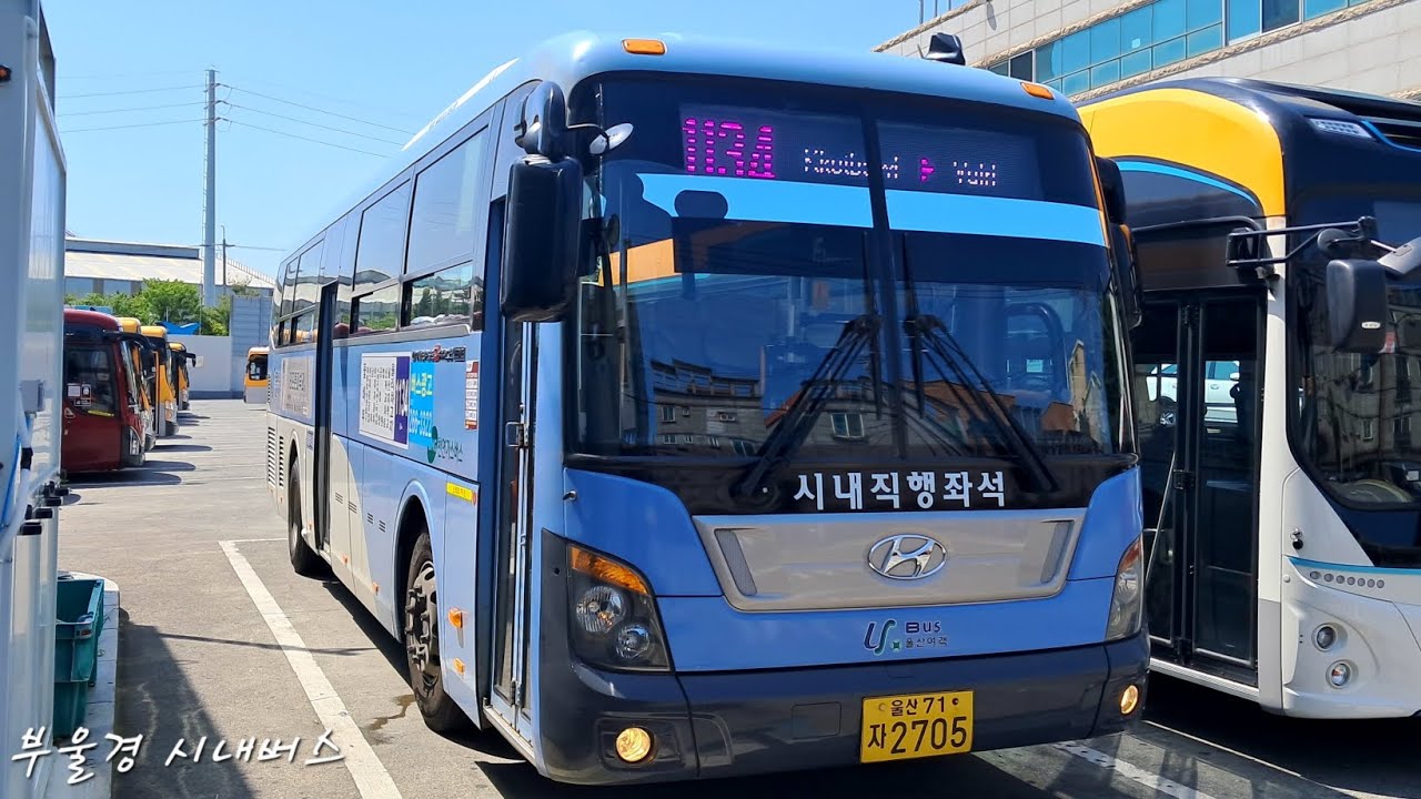 [울산 | 직행좌석 | 예비차]울산여객 1134번 [남목1동 ~ 현대중공업일산문]구간 주행영상