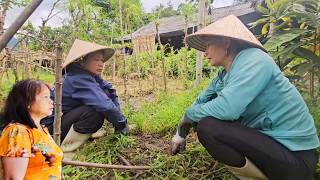 Ms. Nghiep found it strange that Tuyet had no close relatives coming to visit her Ms. Nghiep found it strange that Tuyet had no close relatives coming to visit her