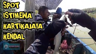 MANCING BELANAK DI KARTIKAJAYA KENDAL JORAN SAMPAI PATAH