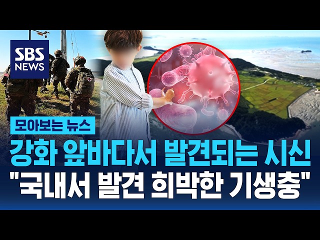 강화 앞바다서 발견된 남자아이 시신.."국내서 발견 희박한 기생충" / SBS / 모아보는뉴스