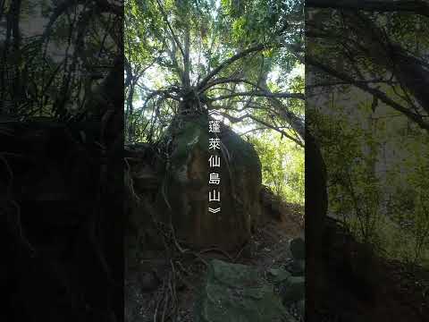 蓬萊仙島山，石門水庫水岸冷門山徑，湖光山色、綠樹成蔭。#山上加美 #旅行 #徒步 #蓬萊仙島山