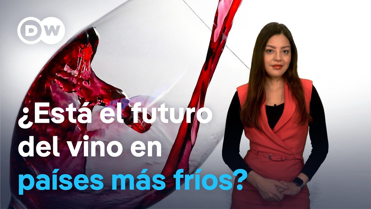 Cómo el cambio climático amenaza la industria vinícola de Chile y beneficia al vino alemán