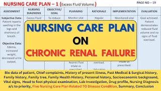 Nursing Care Plan On Chronic Renal Failure | NCP on Chronic Renal Failure |Chronic Renal Failure NCP Nursing Care Plan On Chronic Renal Failure | NCP on Chronic Renal Failure |Chronic Renal Failure NCP