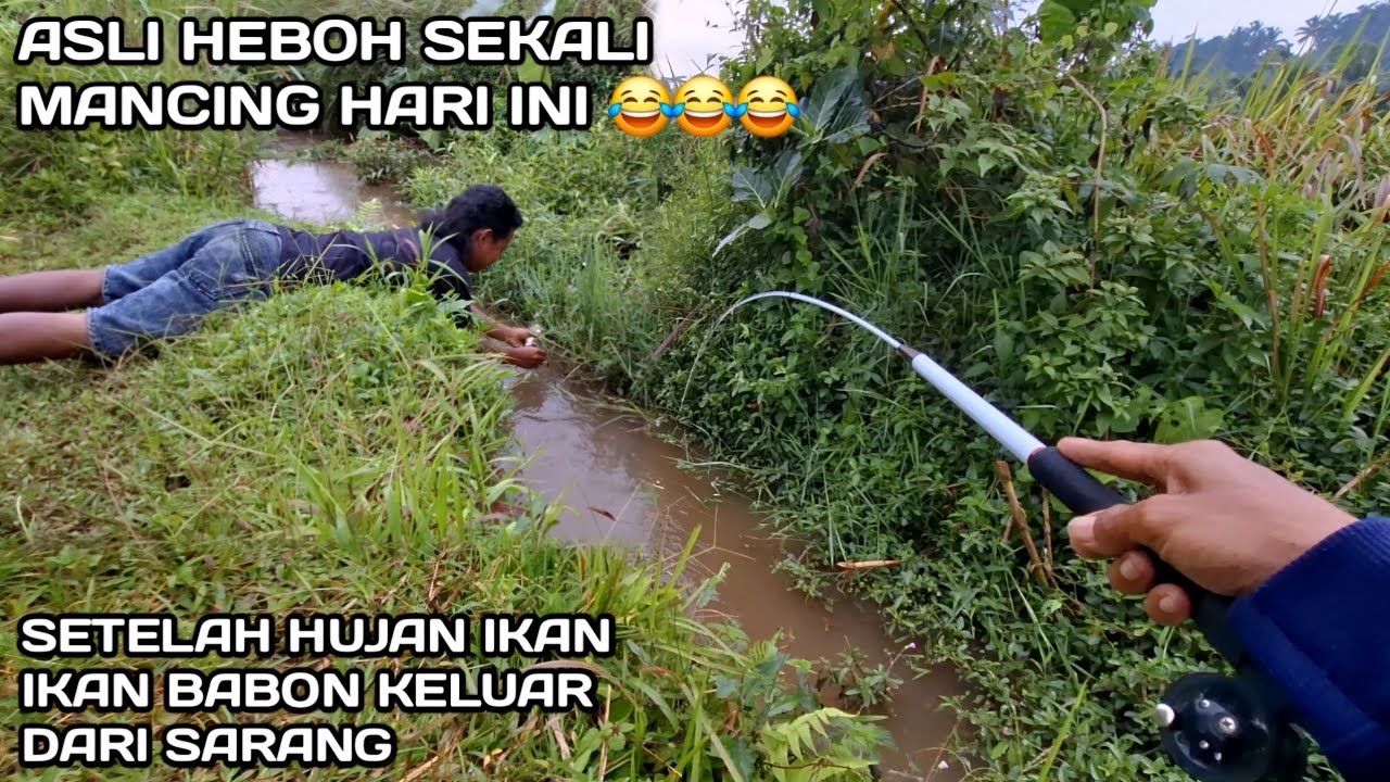 Hebohh.! Mancing di Selokan Setelah Hujan Ikanya Babon Babon #LM39