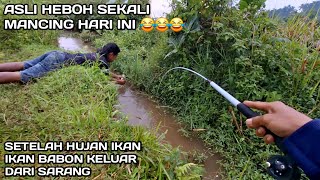 Hebohh.! Mancing di Selokan Setelah Hujan Ikanya Babon Babon #LM39