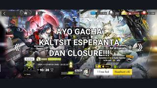 AYO GACHA KALTSIT ESPERANTA & CLOSURE [Arknights]