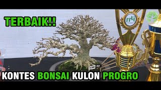'Pohon Terbaik' Kontes Bonsai Kulon Progo