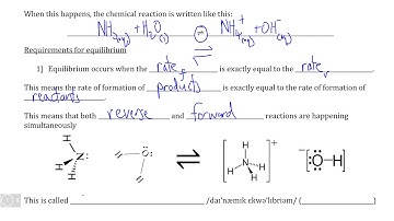 Dynamic Equilibrium I, Video I - Definition and Requirements for Equilibrium