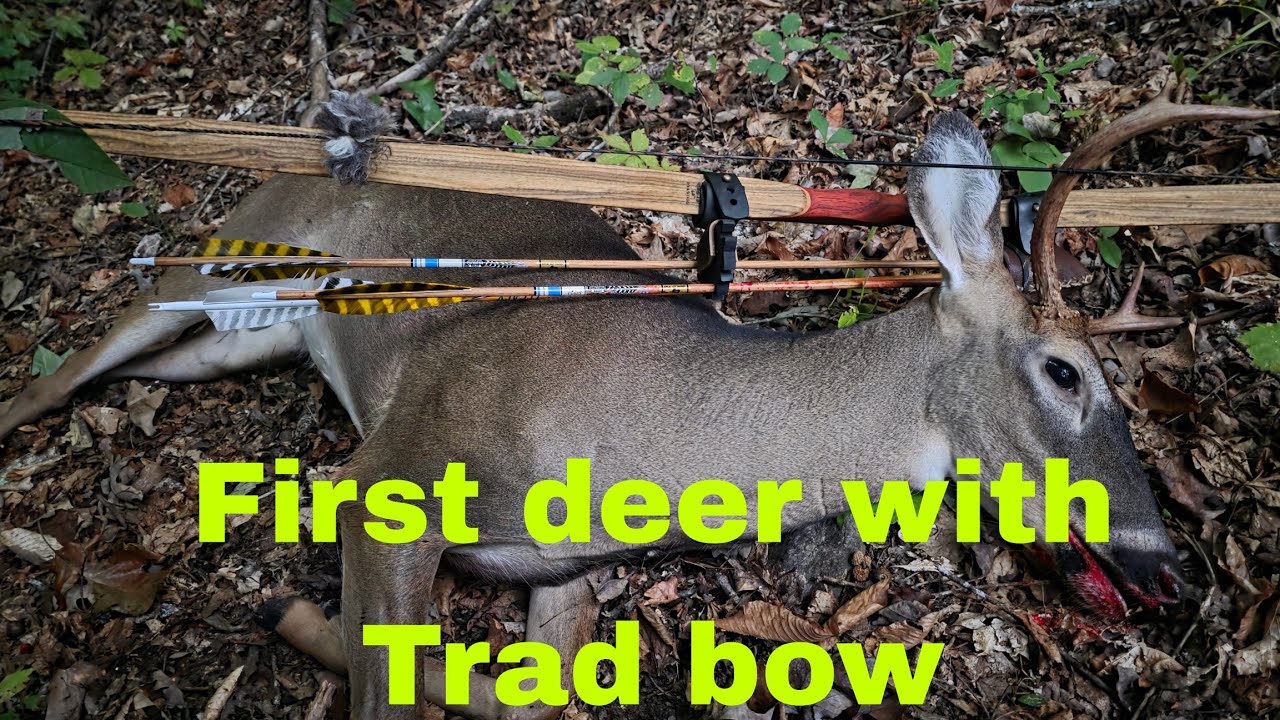 Традиционная стрельба из лука – длинный лук – первый олень – сезон охоты на оленей 2025 года