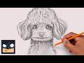 How to Draw a Poodle | Sketch Saturday