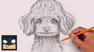 how draw poodle sketch saturday