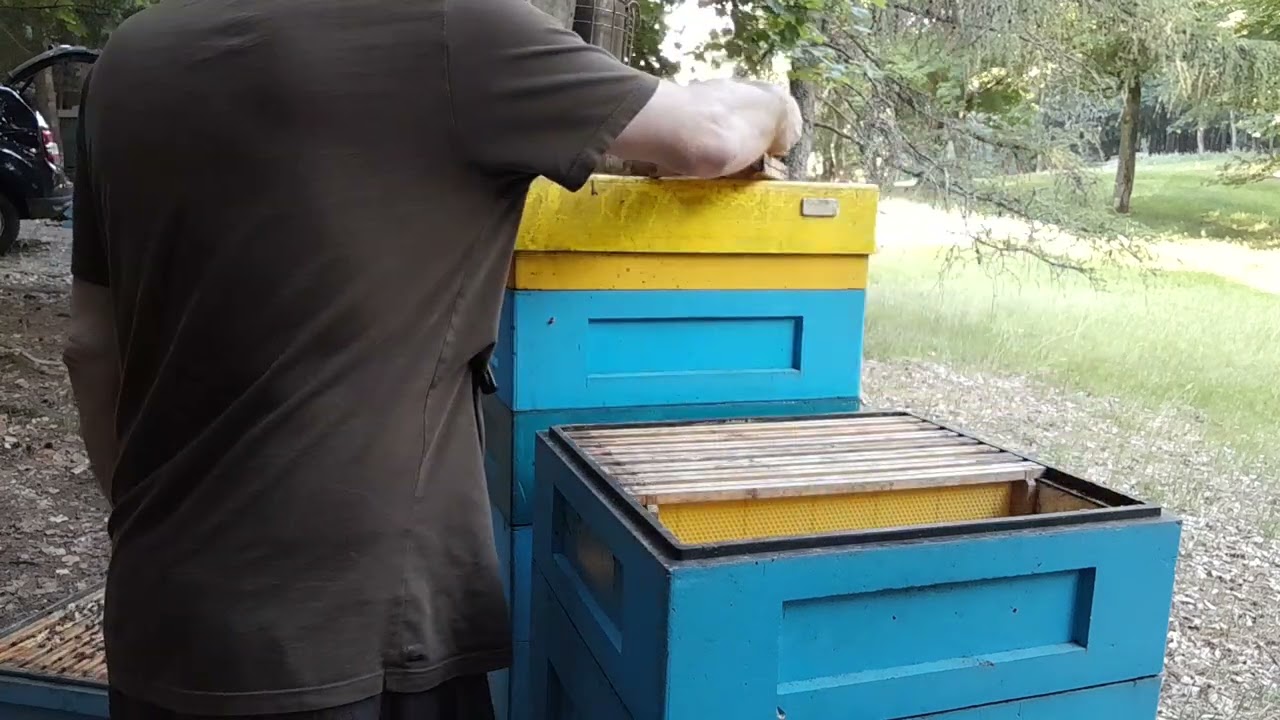 Parádní snůška mě nutí přidávat další medníkové nástavky..