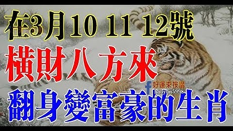 未來三天開始橫財八方來，翻身變富豪的生肖 - 天天要聞
