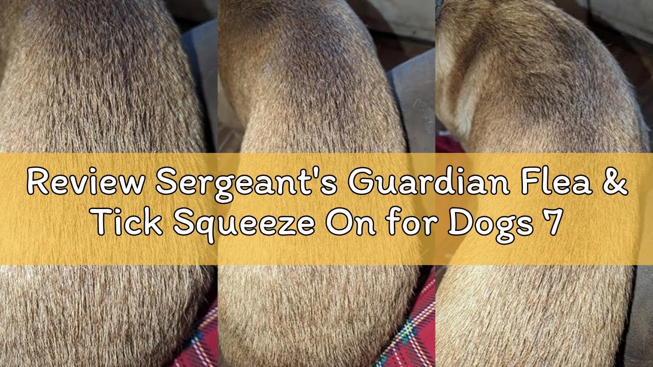 Review Sergeant's Guardian Flea & Tick Squeeze On for Dogs 7-33 lbs., 3