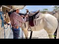 Cómo arrendar un caballo  (Parte 1) #parientesdelrancho #RanchoJR