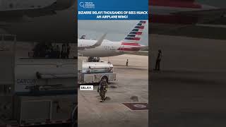 "There are Bees on the Wing!" Inside the Most Unbelievable Flight Delay