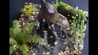 Nanotyrannus on a Forest Path | Dinosaur Diorama