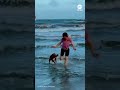 Astronaut’s dog erupts with joy as mom returns from moon mission