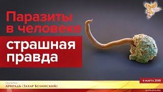 Паразиты в человеке - страшная правда. Часть 2 Паразиты в человеке - страшная правда. Часть 2