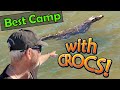BEST CHEAP CAMP RIGHT ON THE WATER'S EDGE on QLD EAST COAST / CAMPFIRE COOKING & RESIDENT CROCODILE!