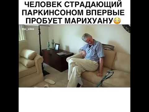 Воздействие марихуаны на болезнь паркинсона Воздействие марихуаны на болезнь паркинсона библия с закладками купить