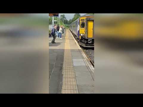 Hilarious video shows moment duck waddles on train track in front of patient driver