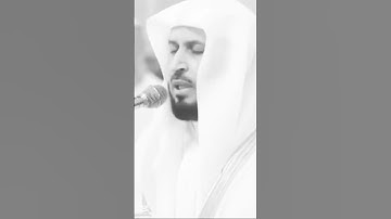 قران كريم ايات تريح القلب اجمل صوت قران #سعد_الغامدي #الهدى ـ والضياء للقران الكريم