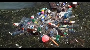 How does so much plastic end up in the ocean?