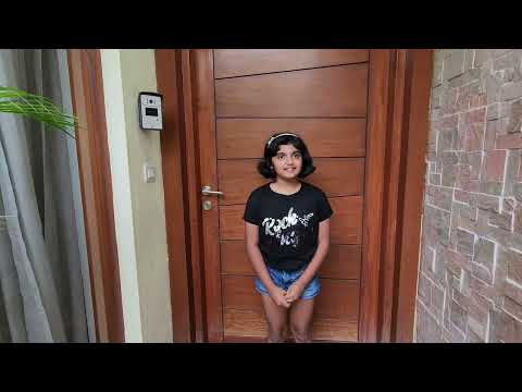 Aladi Interiors client video testimonial