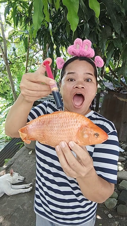 Ikan mas disuntik vitamin #shrots