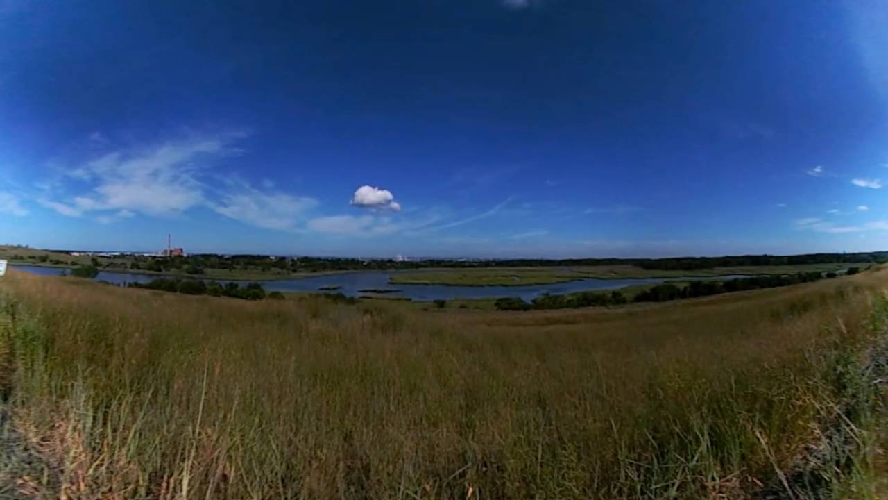 Freshkills Park: Landscape in Motion, East Mound