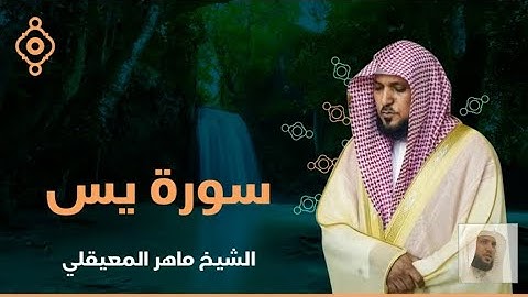 📖 سورة يس كاملة | تلاوة خاشعة تهز القلوب بصوت ماهر المعيقلي | راحة للنفس وطمأنينة لا توصف
