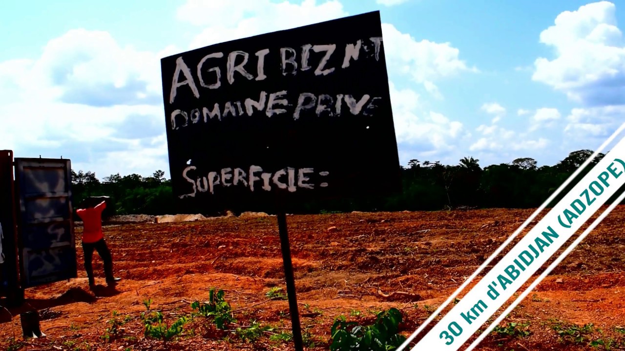 Agribiznet - Visite Kroufian (Dabou) et Yakassé Mé (Adzopé)