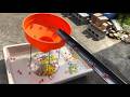 マーブルラン×トミカ ！Water Marble run rainbow✖︎ Tomica⭐︎ASMR #funny #satisfying #marblesrace #bouncymarble
