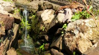 Casa Por Do Sol, Madeira Island