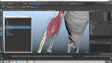 Ziva VFX Sliding Attachments – Ziva VFX Tutorial