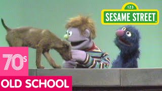 Sesame Street: Has Anybody Seen My Dog With Grover