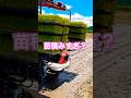 Kubota NW8S GS 田植え機　田植え作業#farming #現代農業 #automobile #kubota
