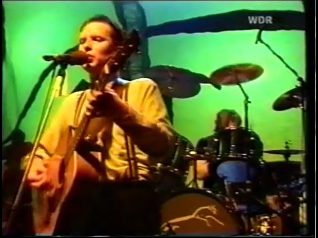 XTC: Senses Working Overtime: {Live, Rockpalast 1982}