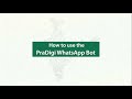 How to use the PraDigi WhatsApp Bot? | #PraDigiCreativityClub