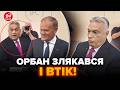 ⚡Гляньте! Орбан ВТІК після ПИТАННЯ Туска: його РІЗКО ЗАПИТАЛИ про Україну. Такої РЕАКЦІЇ не чекали