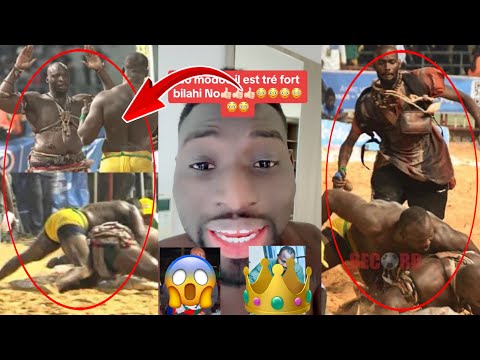 Urgent ‼️ Adamo Felicitation Modou Lo Après Victoire Modou Lo ak Ama balde😱👑