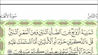 Урок № 49. Красивое чтение суры "аль-Ан'ам", аяты 138-151. #АрабиЯ #Коран #Нарзулло #ArabiYA
