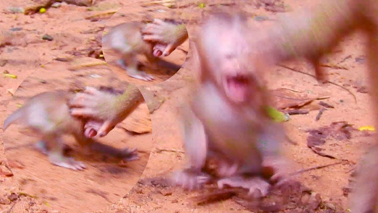 Mum Don't Leave Far Me Baby Said, Please Wait Me - YouTube